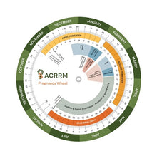 Load image into Gallery viewer, Pregnancy Wheel