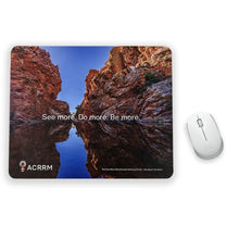 Load image into Gallery viewer, Mouse Mat Nt Mat